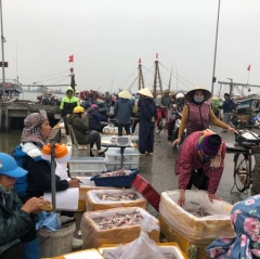 Dân phản đối vào chợ đầu mối thủy sản mới